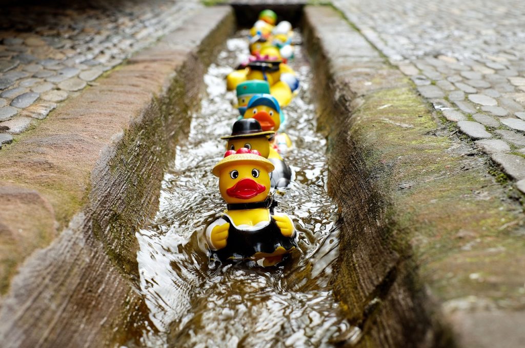 rubber ducks