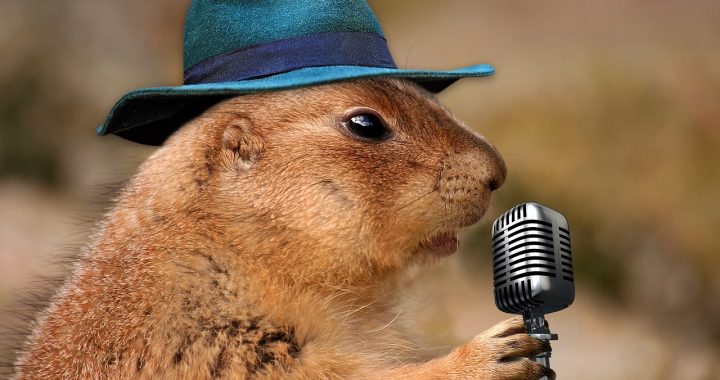 prairie dog singing